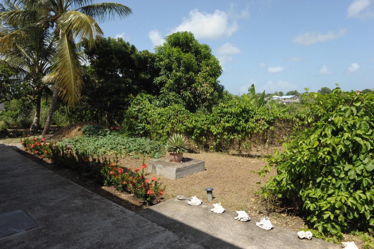 Villa Yona Sainte-Anne  Bagian luar foto